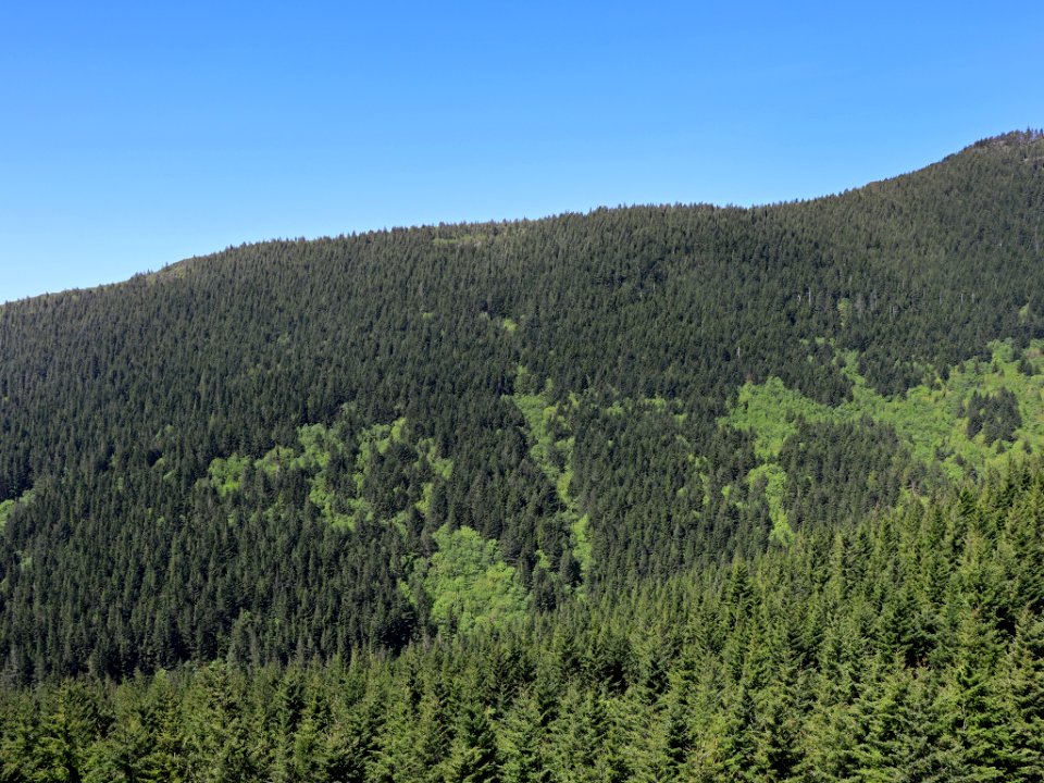 Hamilton Mountain in WA