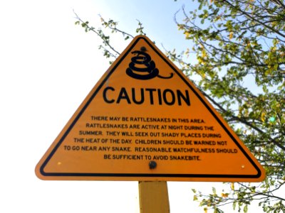 Avoid Snakebite
