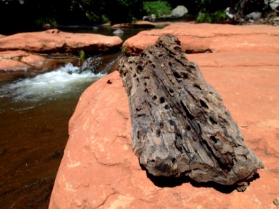 Log on Sandstone