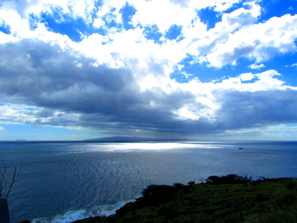 Whale Lookout Point