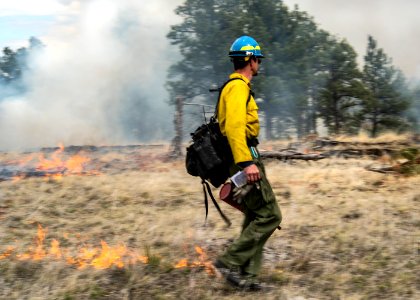 kendall-coulee-south-rx-fire 49802688007 o photo