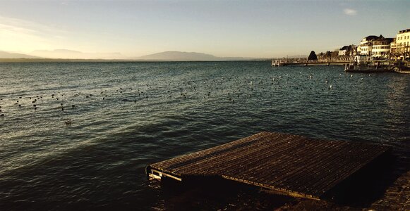 Lake water lakeside photo