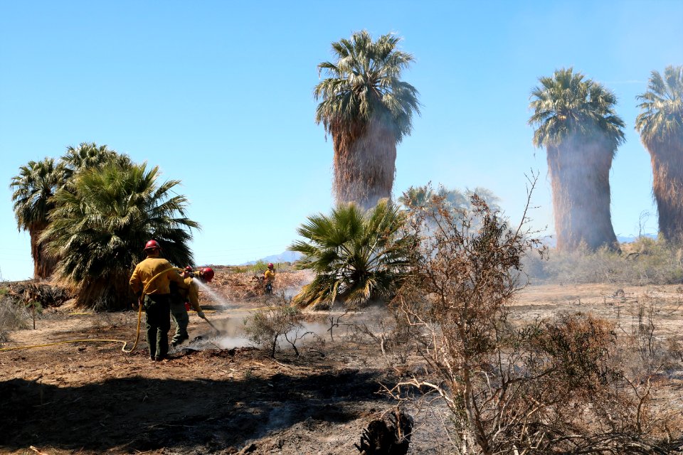 BLM Fire and Aviation Photo Contest 2020