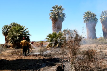 BLM Fire and Aviation Photo Contest 2020