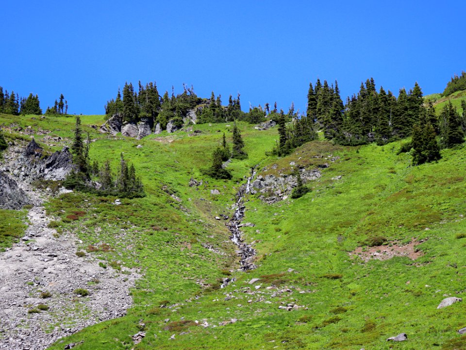 Goat Rocks Wilderness in WA