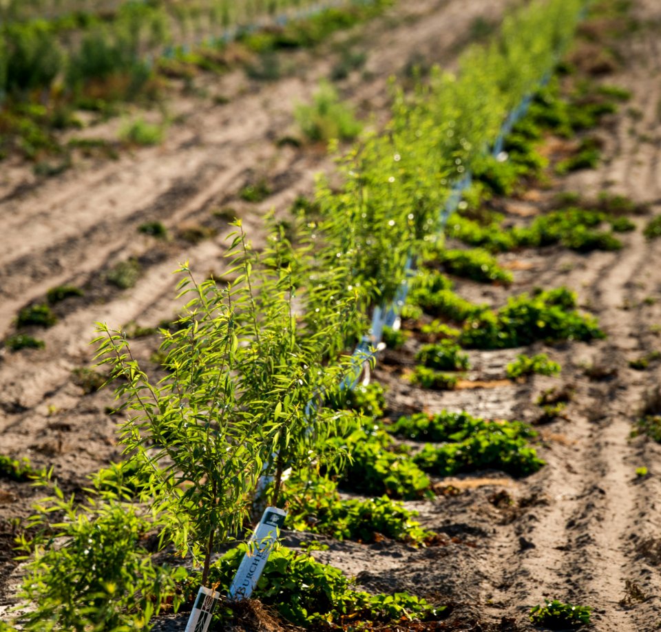20150723-NRCS-LSC-0310