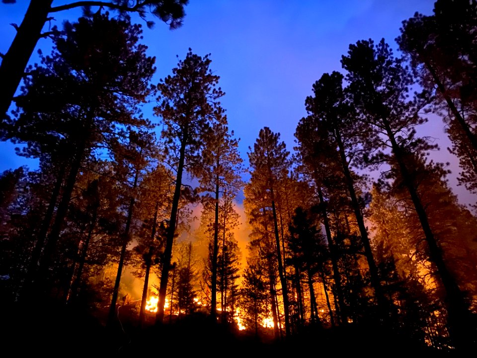 New Mexico Wildfires