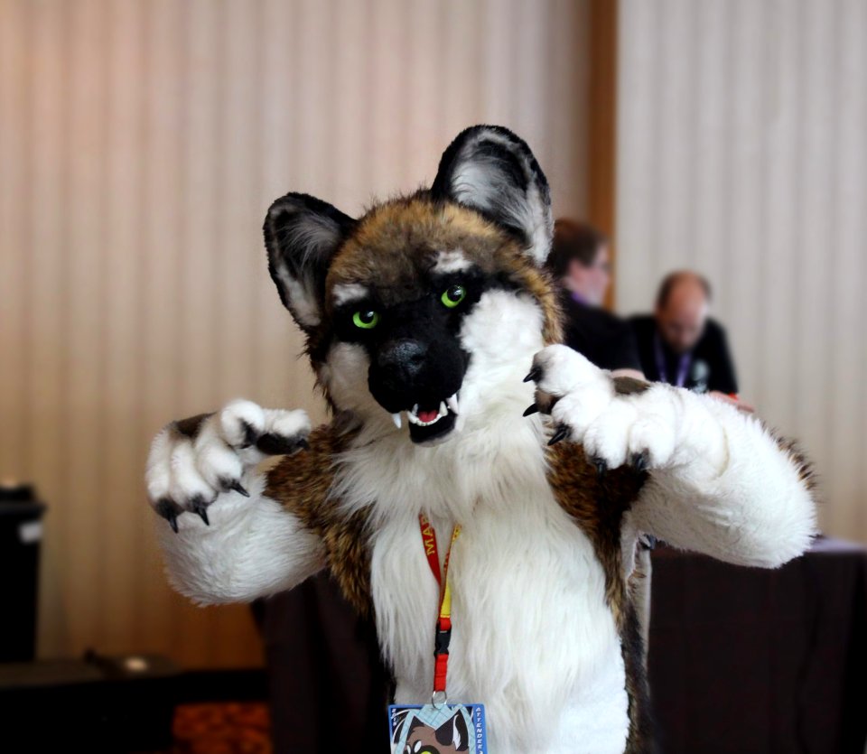 FurTheMoore2019 jv 7