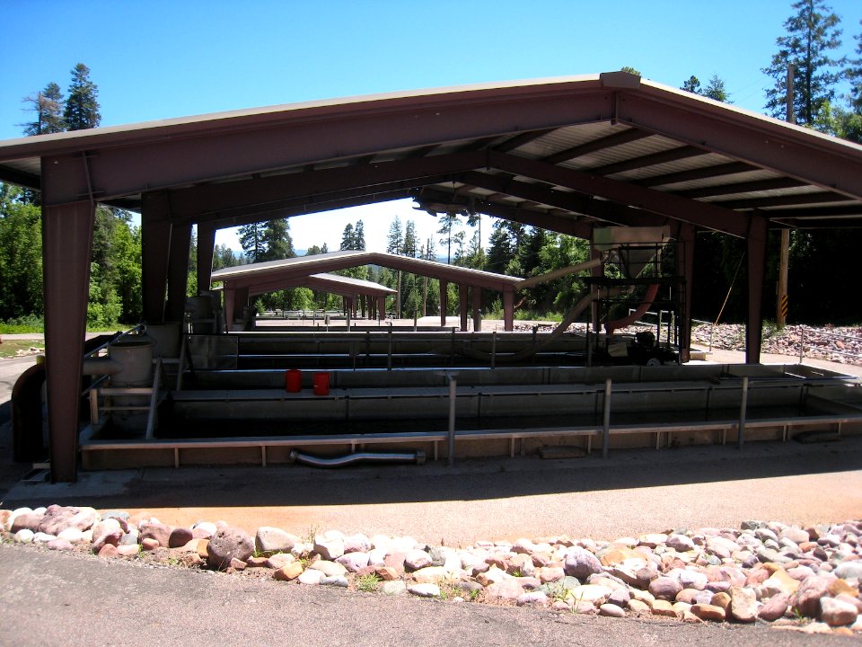 Tonto Creek Fish Hatchery