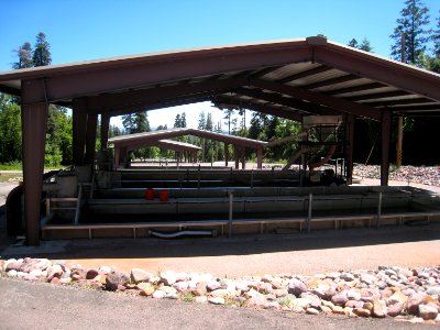 Tonto Creek Fish Hatchery