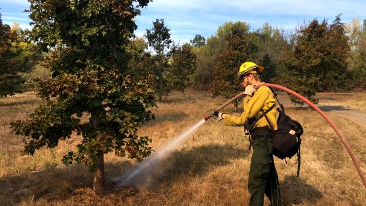 Prescribed Burn Helps Wildlife photo