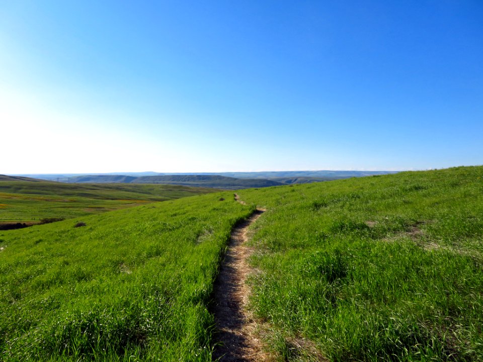Dalles Mountain Ranch in WA