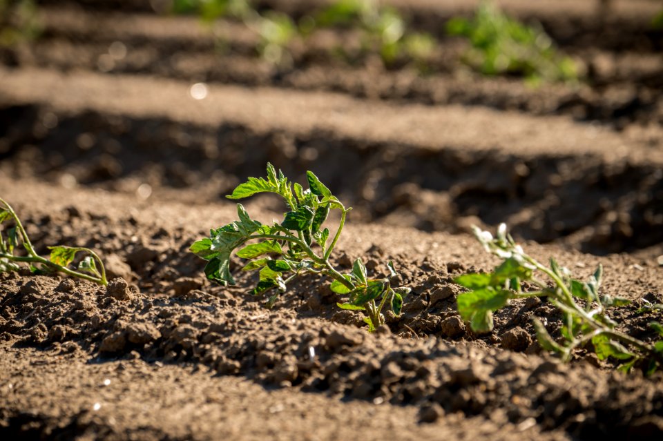 20150415-NRCS-LSC-0340