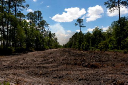 West Mims Wildfire
