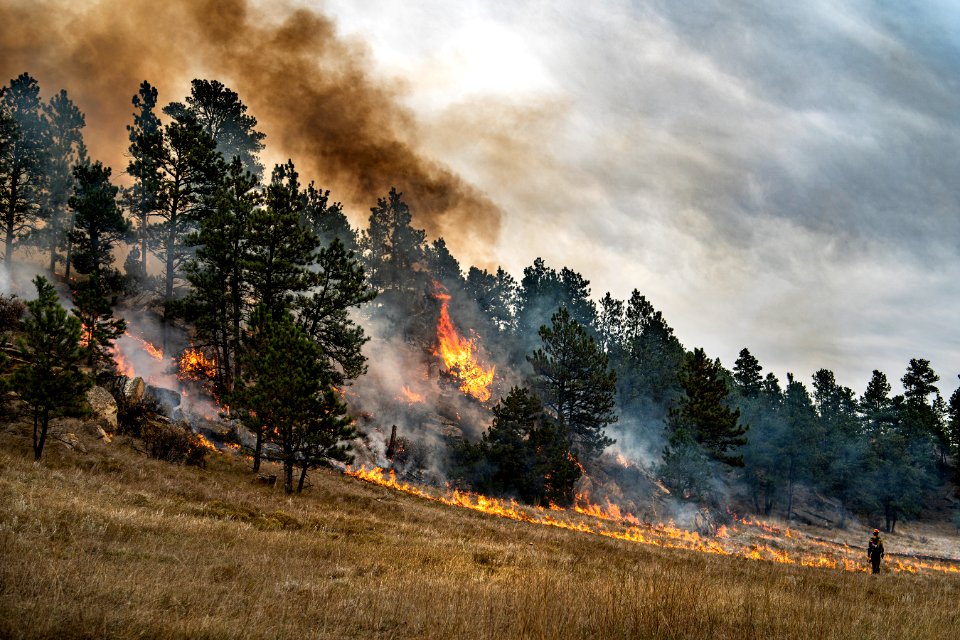 2020 Photo Contest: Land We Protect