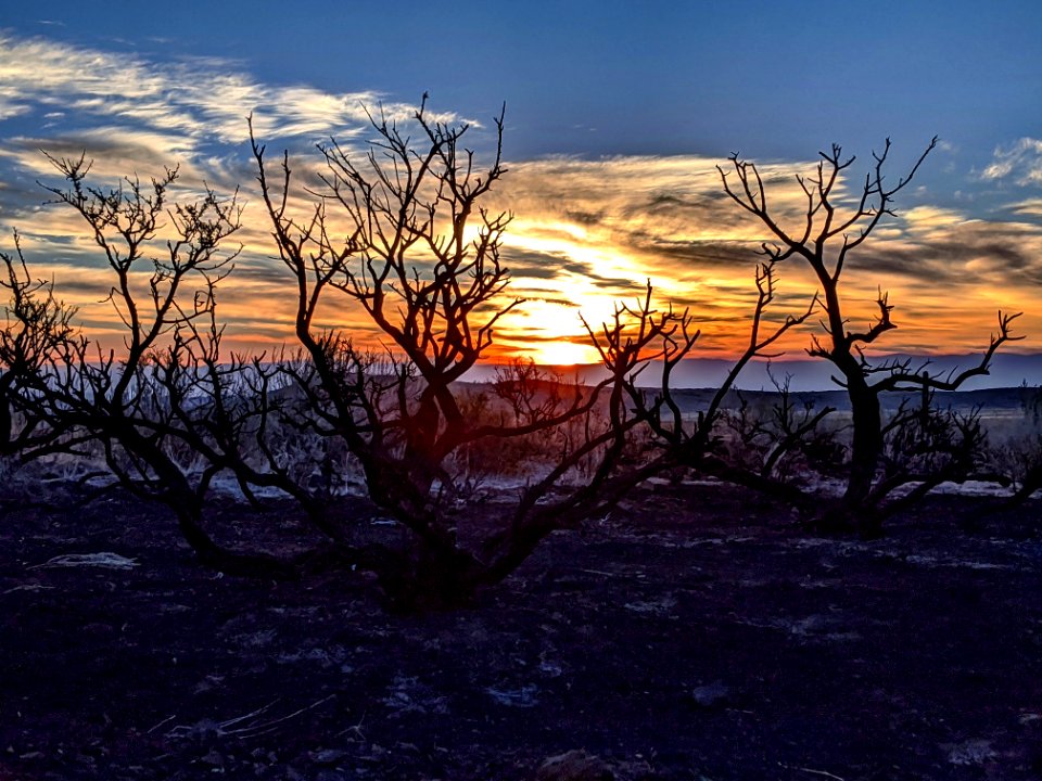2020 Photo Contest: Land We Protect