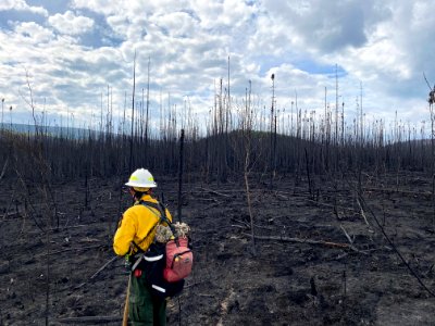 Isom Creek Fire photo