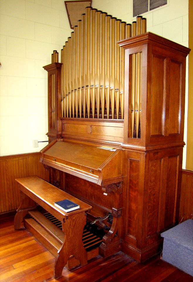 Organ