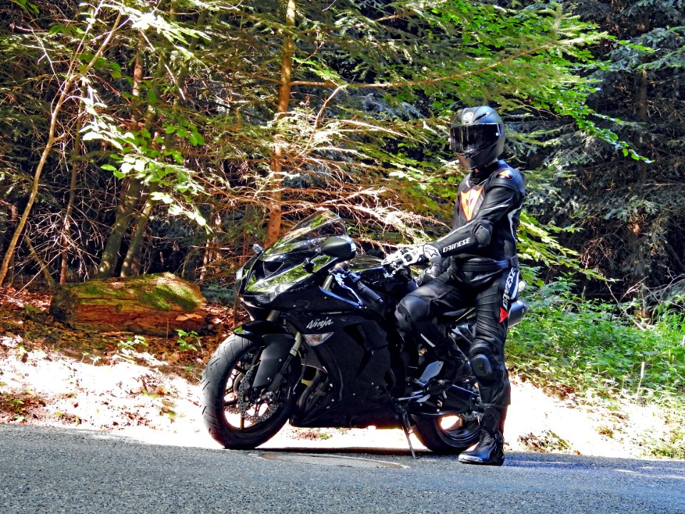 summer 2019: some sun in the forest.