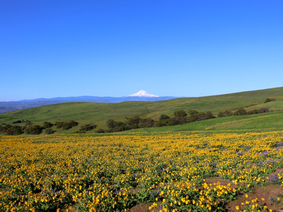 Dalles Mountain Ranch in WA