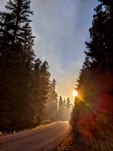 2020 Photo Contest: Land We Protect