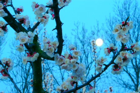 2019-03-23 06-46-02