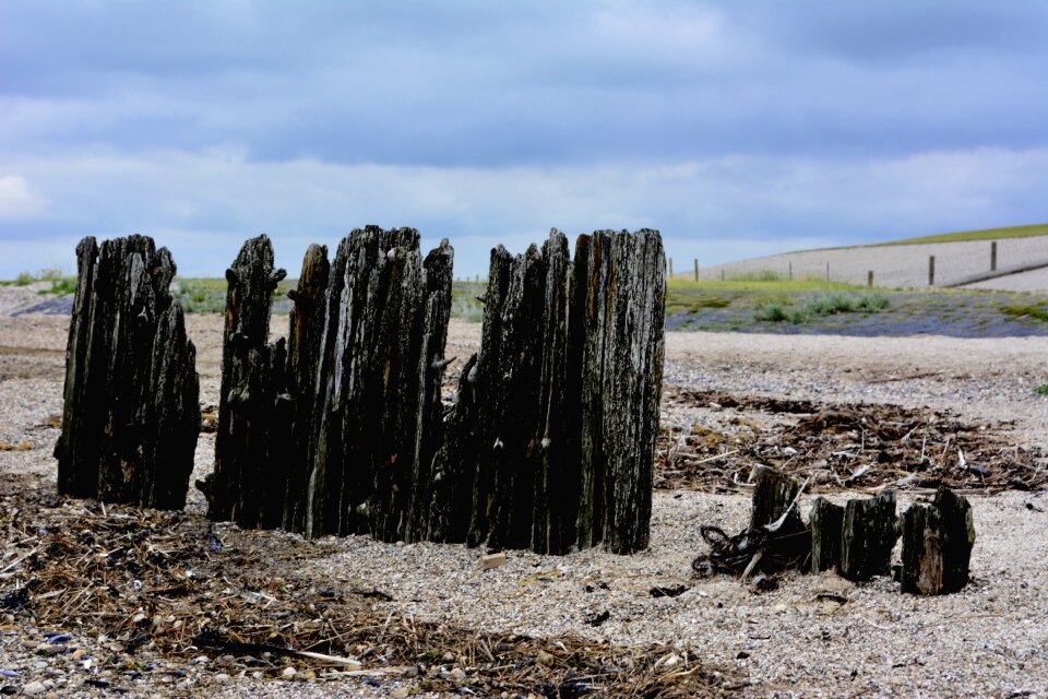 Wood posts weathered