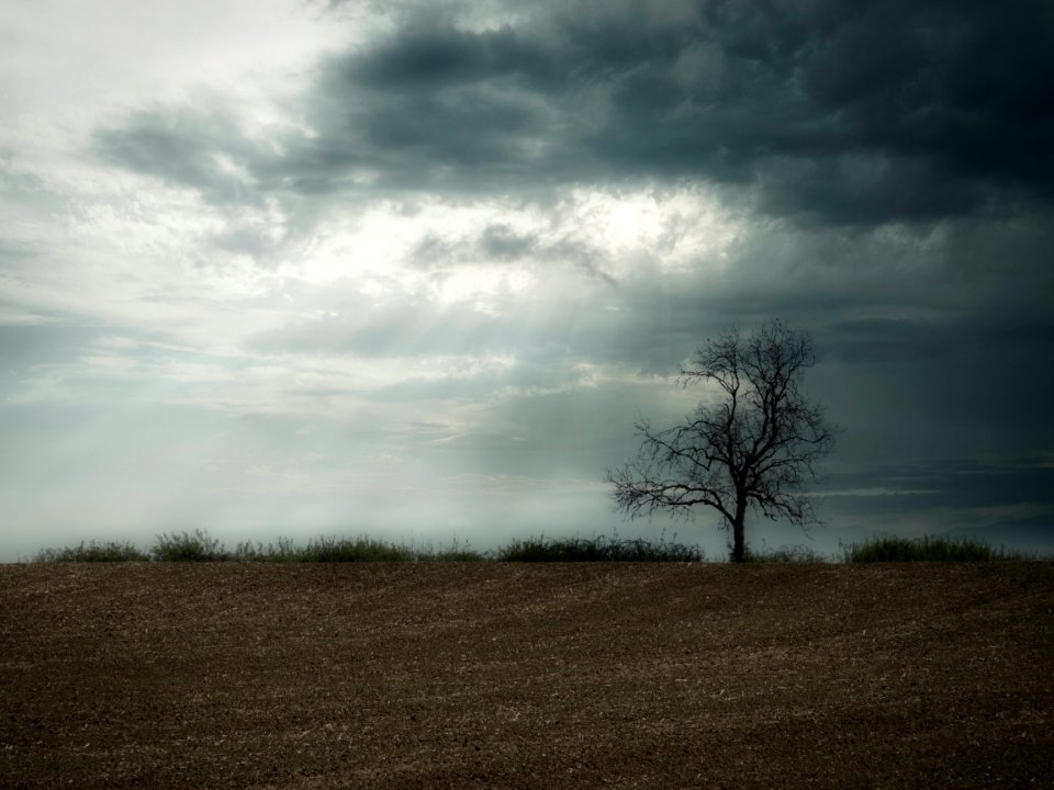 Dramatic Day