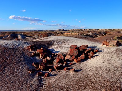 Petrified Forest NP in AZ photo