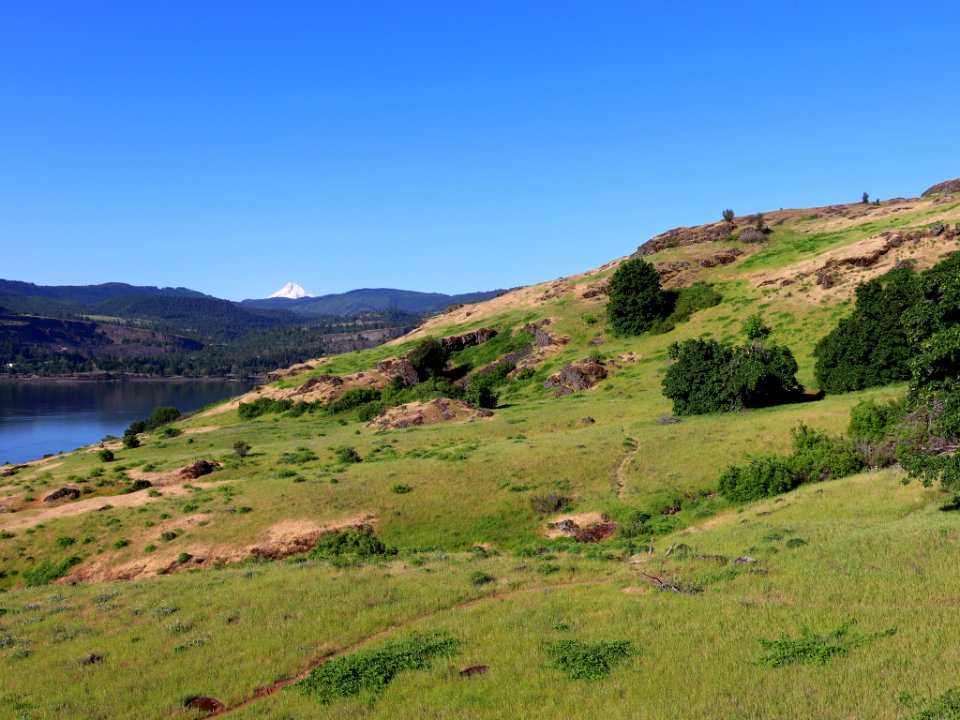 Coyote Wall Trail in WA