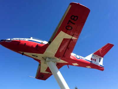 Now That's a Snowbird!