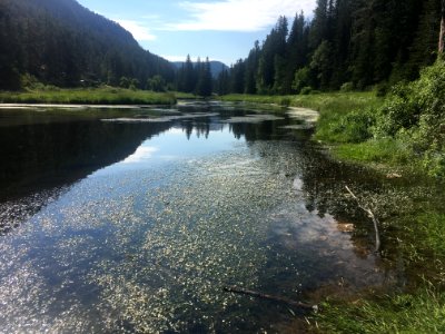 Spearfish Creek
