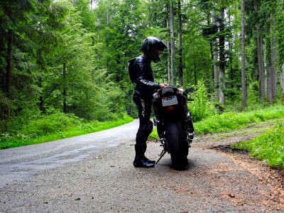 Summer 2018: a short break in a forest.