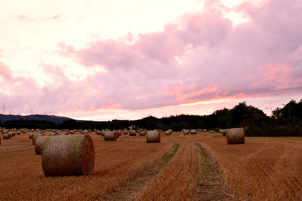 Hay Bails at Sunset Dublin
