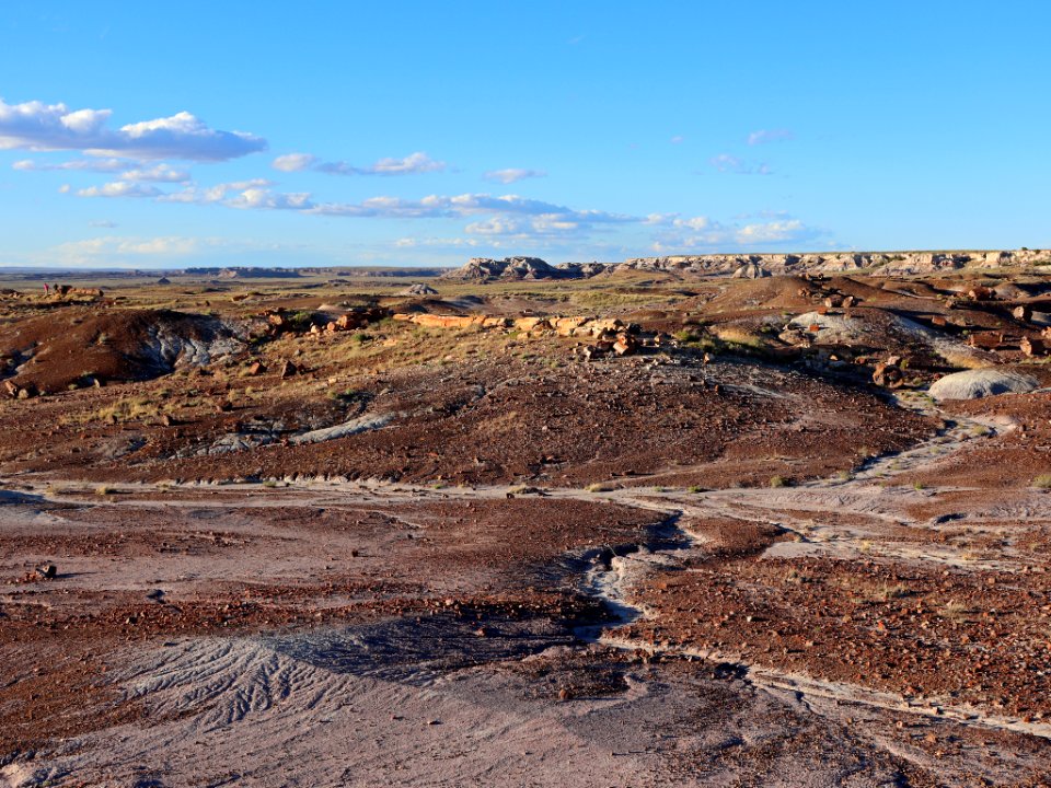 Petrified Forest NP in AZ