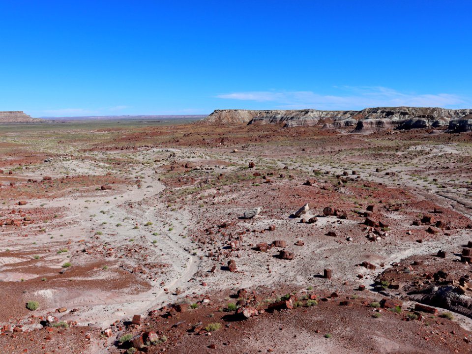 Petrified Forest NP in AZ