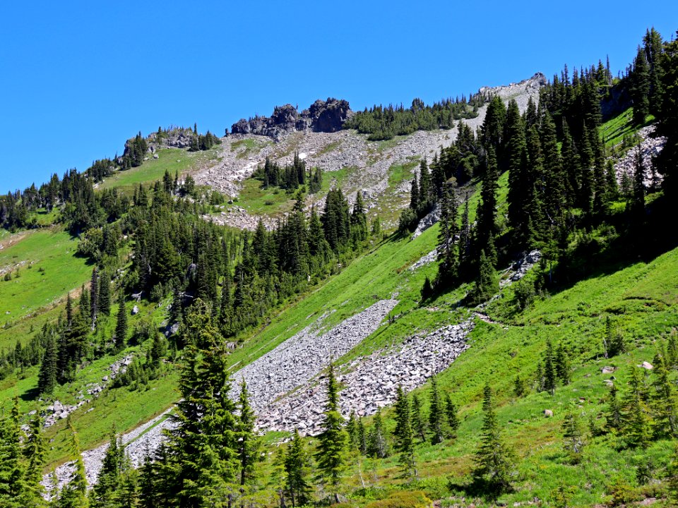 Goat Rocks Wilderness in WA