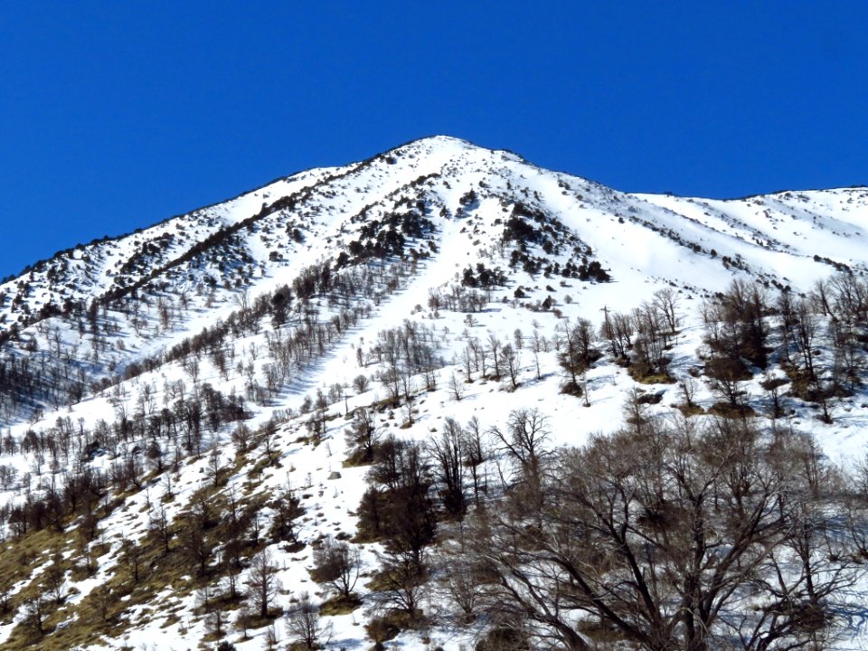 Sierra Nevada in CA photo