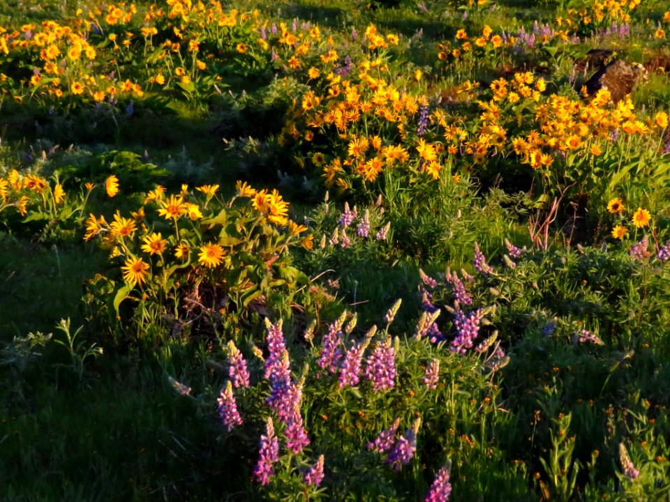 Rowena Crest in OR