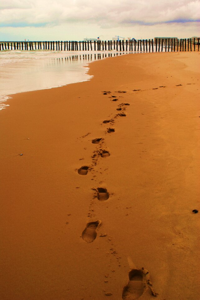 Traces tracks in the sand beach