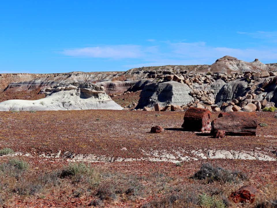 Petrified Forest NP in AZ