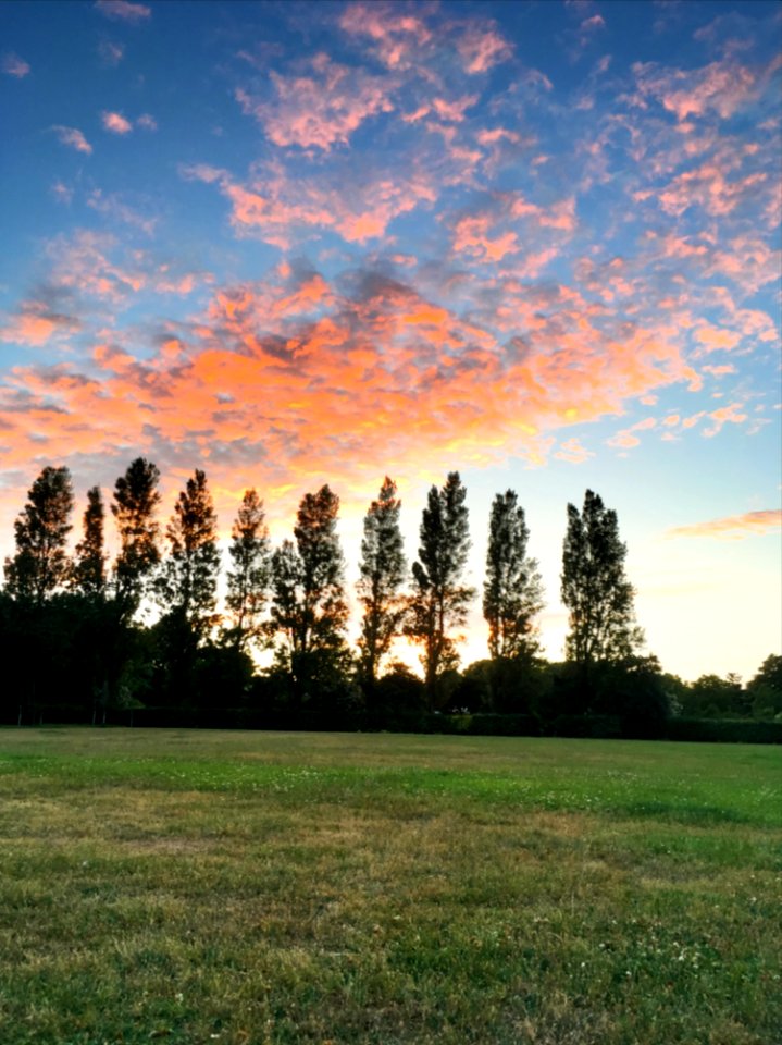 Victoria Park, Waterloo