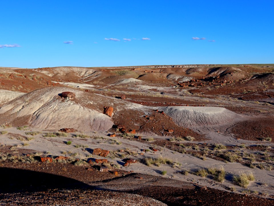 Petrified Forest NP in AZ