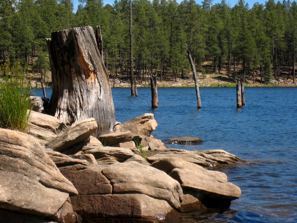 Shores of Willow Springs Lake