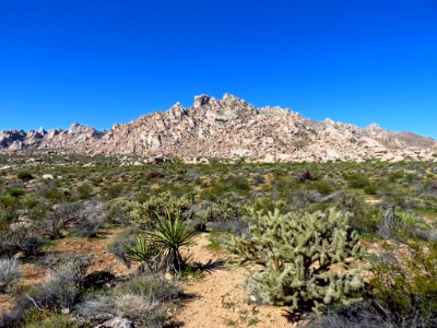 Mojave National Preserve in CA