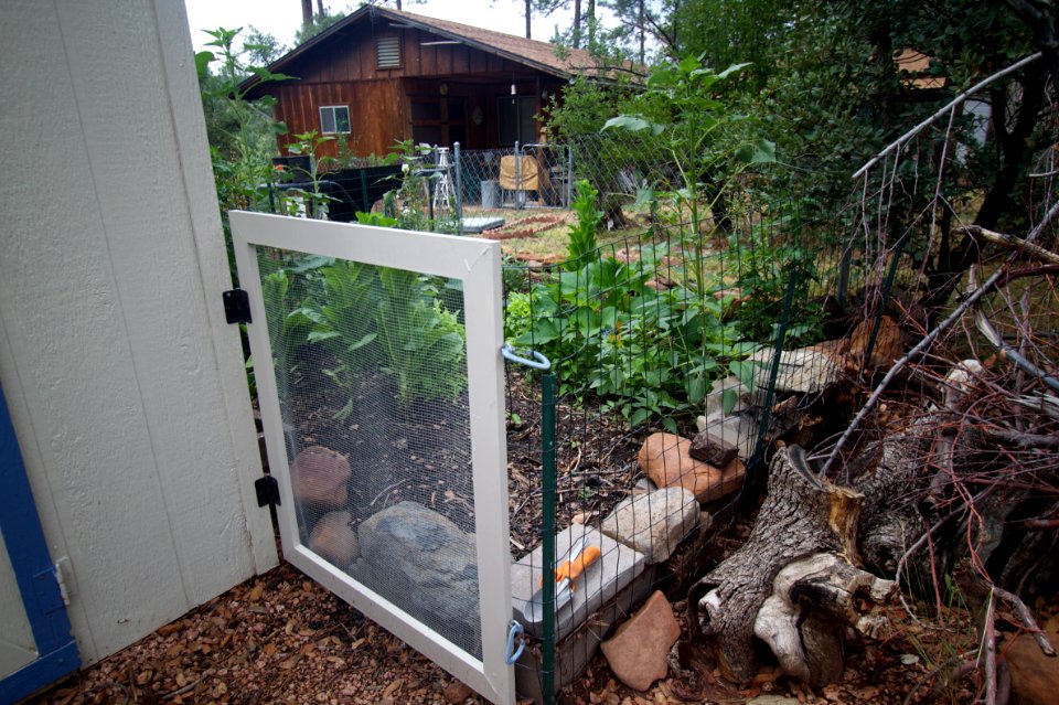 Garden 2010