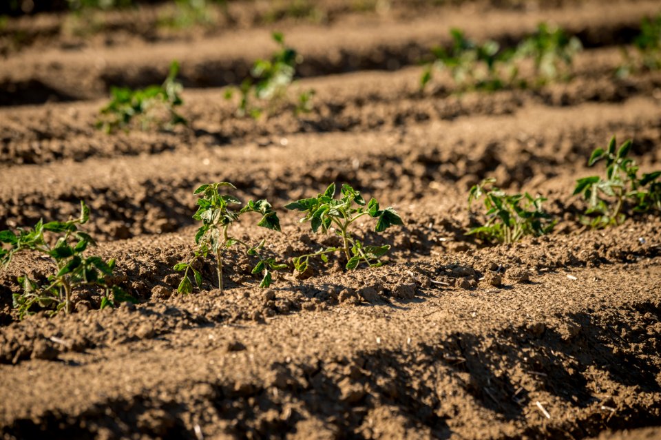 20150415-NRCS-LSC-0323