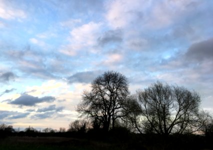 Evening on the Soar River
