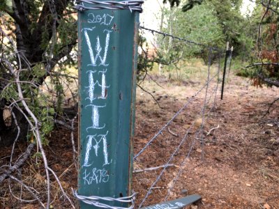 Finding Whim