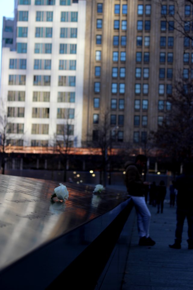 9/11 Memorial & Freedom Tower